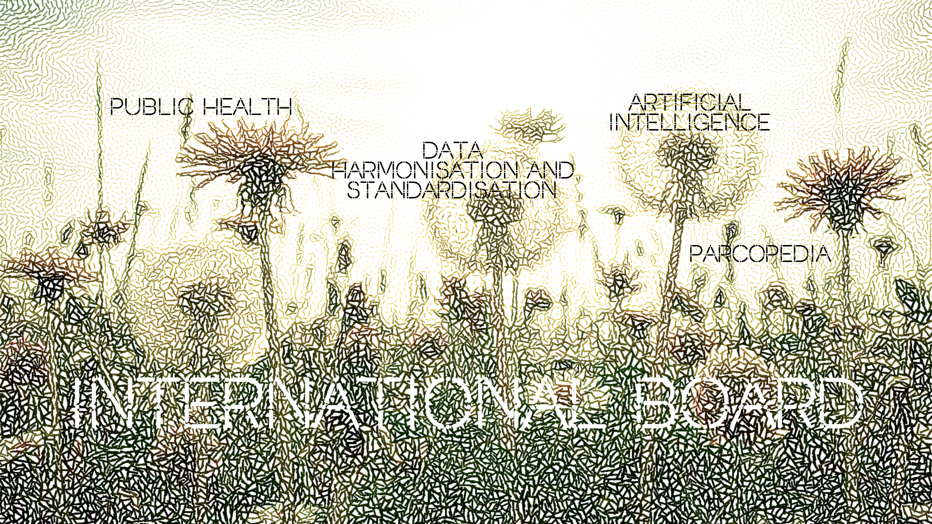 IB