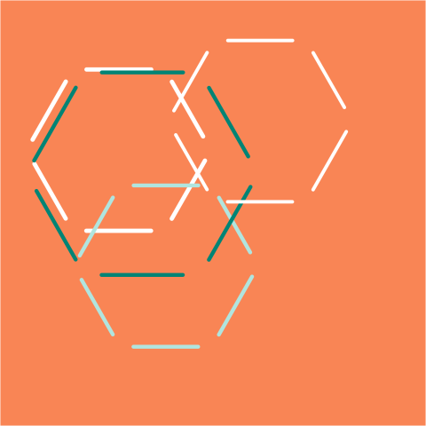 REACH Out-Numbered! The Future of REACH and Animal Numbers