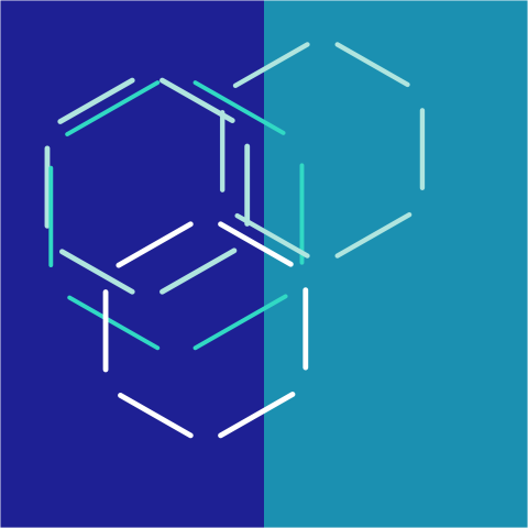 Deoxynivalenol increases pro-inflammatory cytokine secretion and reduces  primary bile acid transport in an inflamed intestinal in vitro  co-culture model