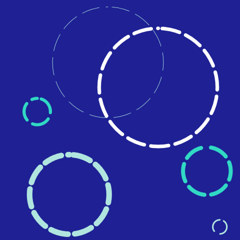 A review on aquatic toxins - Do we really know it all regarding the environmental risk posed by phytoplankton neurotoxins?
