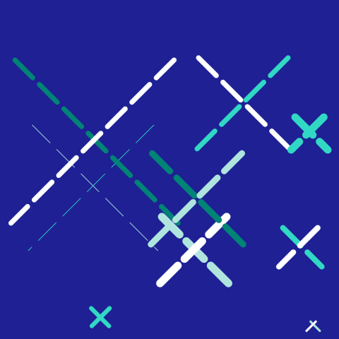 Carnosic acid ameliorates indomethacin-induced gastric ulceration in rats by alleviating oxidative stress and inflammation