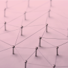 PARC laboratory network