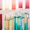 EEA ECHA report on chemical indicators