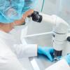 Advancing neurotoxicity testing with zebrafish-based methods