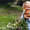 New research improves how pesticide exposure is measured in people