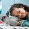 Towards a future without animal testing in EU chemical safety assessment