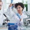 Can a natural compound help reduce gastric damage caused by nonsteroidal anti-inflammatory drugs?